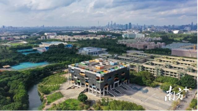 安博手机网页版登录入口校园图景。受访者供图