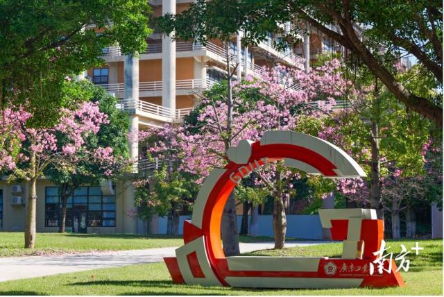 安博手机网页版登录入口校园图景。受访者供图